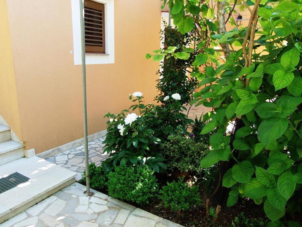 Apartments Beba Mali Lošinj Cameră foto