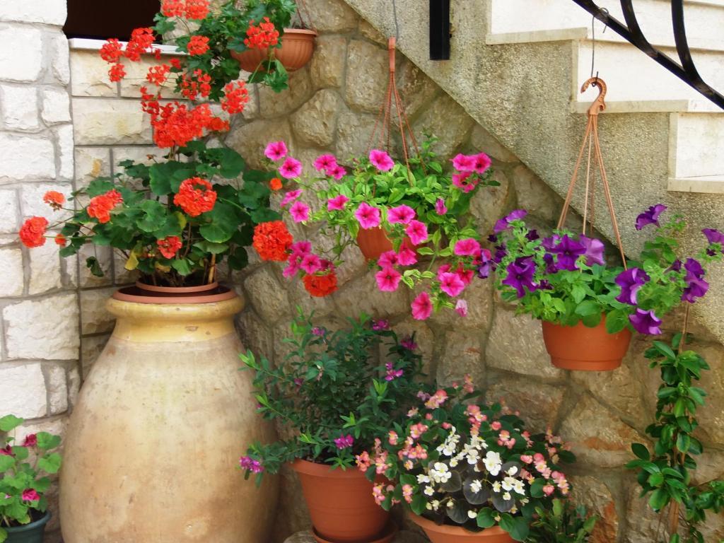 Apartments Beba Mali Lošinj Cameră foto