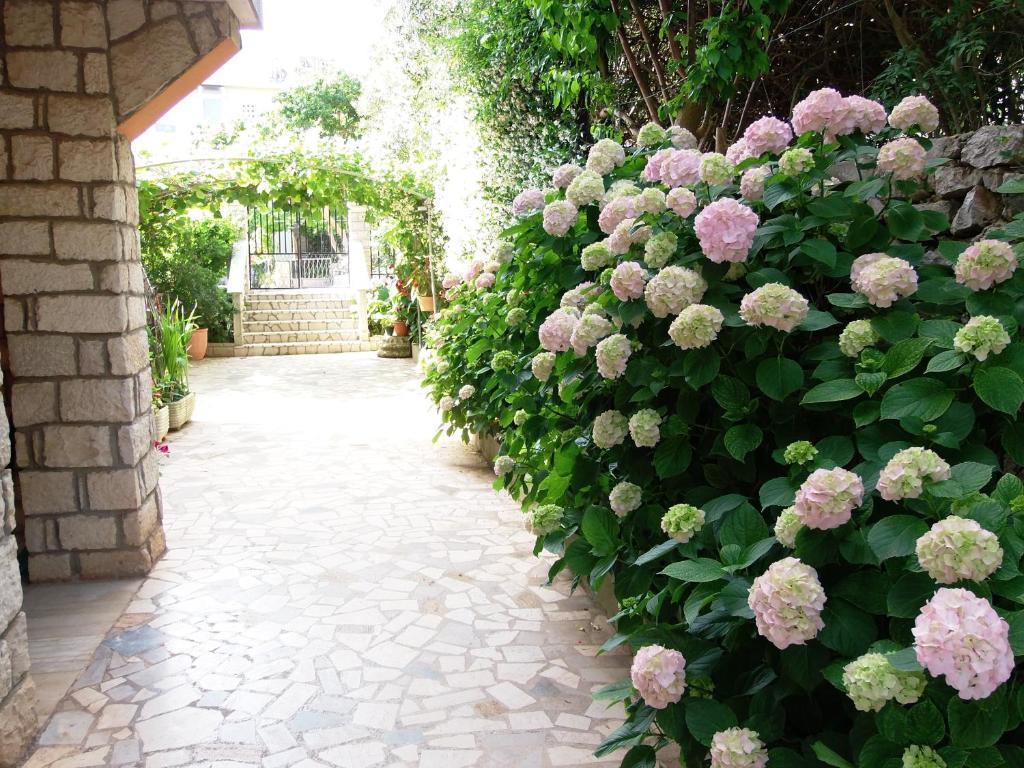 Apartments Beba Mali Lošinj Cameră foto